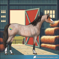 Horse Color:Bay Roan 