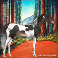 Horse Color:Liver Chestnut Tobiano 