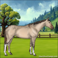 Horse Color:Red Dun and Bay Dun