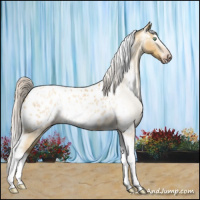 Horse Color:Gray Silver Amber Cream Champagne Roan Dun Splash Tobiano Frame Appaloosa Rabicano 