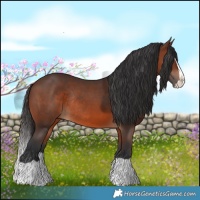 Horse Color:Brown Splash Rabicano 