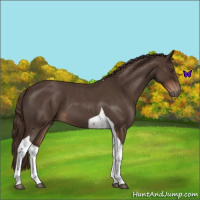 Horse Color:Liver Red Roan Tobiano 