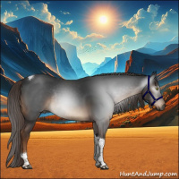 Horse Color:Gray Liver Chestnut Tobiano Rabicano