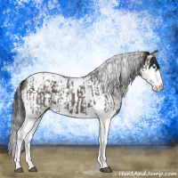 Horse Color:Grullo Splash Tobiano  and Grullo Splash Tobiano 