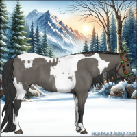 Horse Color:Grullo Tobiano  and Grullo Tobiano Rabicano 