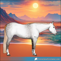 Horse Color:Gray Chestnut 