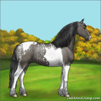 Horse Color:Grullo Tobiano  and Grullo Tobiano 