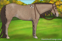 Horse Color:Classic Champagne Rabicano
