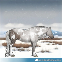 Horse Color:White Spotted Silver Black Mushroom 