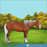 Horse Color:Silver Bay  and Silver Bay 