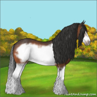 Horse Color:Bay Splash Frame Rabicano 