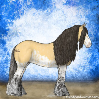 Horse Color:Buckskin Roan Splash  and Buckskin Roan Splash 