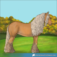 Horse Color:Palomino  and Palomino 