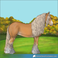 Horse Color:Palomino  and Palomino 