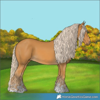 Horse Color:Palomino  and Palomino 