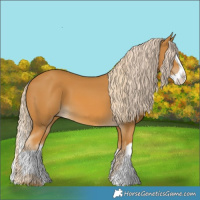 Horse Color:Palomino  and Palomino Splash 