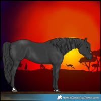 Horse Color:Black 