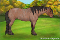 Horse Color:Brown Roan  and Bay Roan 