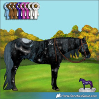 Horse Color:ERROR: UNKNOWN ANOMALY