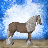 Horse Color:Silver Black 
