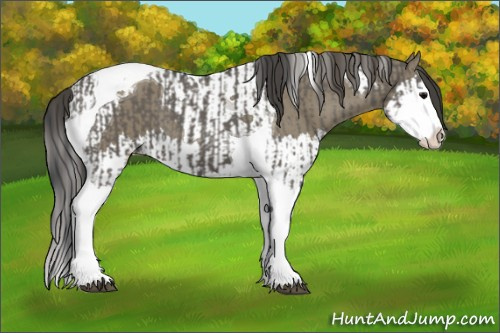 Horse Color:Grullo Sabino Splash Tobiano  and Smoky Grullo Sabino Splash Tobiano 