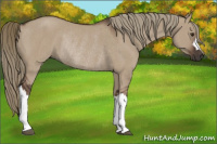 Horse Color:Liver Red Dun Rabicano 