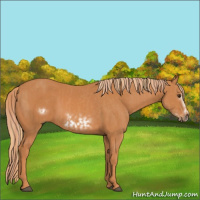 Horse Color:Chestnut  and Chestnut Frame 