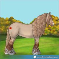 Horse Color:Red Dun  and Red Dun 