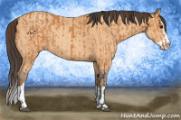 Horse Color:Bay Splash  and Amber Champagne Splash 