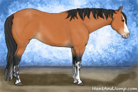 Horse Color:Bay  and Bay Splash 