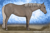 Horse Color:Silver Black  and Silver Black 