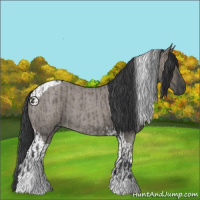 Horse Color:Grullo Roan Tobiano  and Grullo Roan Tobiano 
