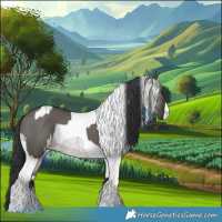 Horse Color:White Spotted Grullo Tobiano  and Gray Grullo Roan Tobiano 