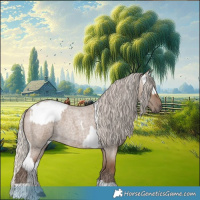Horse Color:Grullo Roan Tobiano Appaloosa  and Silver Grullo Roan Tobiano 