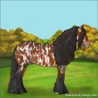 Horse Color:Bay  and Bay Near Leopard 