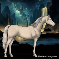 Horse Color:Cremello 