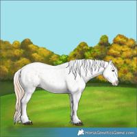 Horse Color:Red Roan Blanket  and Red Roan Tobiano Blanket 