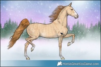 Horse Color:Red Dun Rabicano  and Red Dun Rabicano 