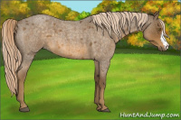 Horse Color:Chocolate Palomino Roan 