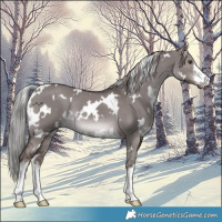 Horse Color:Platinum White Spotted Liver Red Dun Rabicano 
