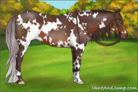 Horse Color:White Spotted Chocolate Brown 