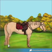 Horse Color:Red Dun 