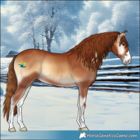 Horse Color:Red Onyx 