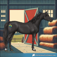 Horse Color:Smoky Black 