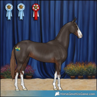 Horse Color:White Spotted Liver Chestnut 