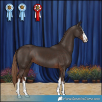 Horse Color:White Spotted Liver Chestnut 