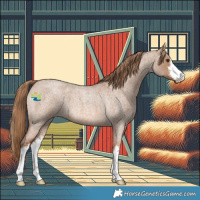 Horse Color:White Spotted Red Dun Roan 