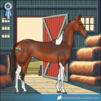 Horse Color:Bay Tobiano 
