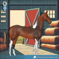 Horse Color:Bay Tobiano 