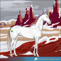 Horse Color:White Spotted Sable Champagne Dun Appaloosa 